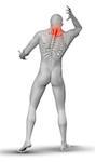 3D render of a male medical figure with partial skeleton on his back and neck