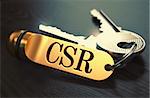 CSR - Certificate Signing Request - Bunch of Keys with Text on Golden Keychain. Black Wooden Background. Closeup View with Selective Focus. 3D Illustration. Toned Image.
