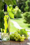 White wine bottle, vine and bunch of grapes on garden table