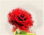 Image of red rose with grunge effect