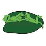 two frog lovers lie on the sheet
