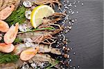 Fresh prawns with spices on black stone background. Top view with copy space