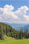 View from mountain Blomberg in Bavaria, Germany in Summer