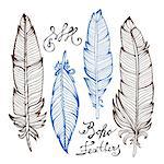 Hand drawn bird feathers closeup isolated on white background set. Boho style. Vector illustration