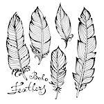 Hand drawn bird black feathers closeup isolated on white background set. Boho style. Vector illustration