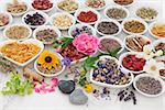 Large herb and flower selection used in herbal medicine in porcelain bowls over distressed wooden background.