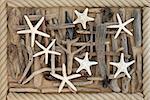 Starfish sea shells and drftwood abstract background over oak wood with rope surround.