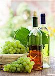 White wine bottles, vine and bunch of grapes on garden table