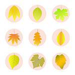 Set of color icons on the theme of autumn leaves.