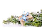 Christmas tree branch with snow and gift box. Isolated on white background