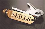 Keys with Word Skills on Golden Label over Black Wooden Background. Closeup View, Selective Focus, 3D Render. Toned Image.
