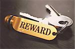 Keys with Word 'Reward on Golden Label over Black Wooden Background. Closeup View, Selective Focus, 3D Render. Toned Image.