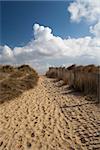 Footpath leading to the sea on Walberswick Beach, Suffolk, England