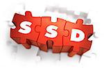 SSD - Solid State Disk - Text on Red Puzzles with White Background. 3D Render.