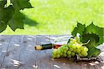 White wine bottle and white grape on garden table