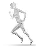 3D render of a female medical figure with skeleton jogging