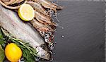 Fresh raw sea food with spices on black stone background. Top view with copy space