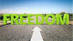 An image of a road to the horizon with 3d text freedom