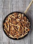 close up of rustic american chili fries