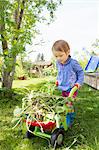 Female toddler pushing toy wheelbarrow with weeds in garden