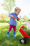 Female toddler emptying grass from toy wheelbarrow in garden