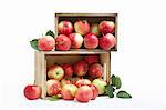 Wood crates filled with fresh apples
