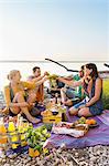 Friends sitting next to water haing a picnic making a toast, Schondorf, Ammersee, Bavaria, Germany