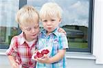 Two young brothers on patio eating a bowl of raspberries