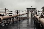 View of walkway on Brooklyn Bridge, New York, USA