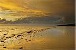 Sandy Beach with Storm Clouds at Sunrise, Daintree Rainforest, Cape Tribulation, Queensland, Australia