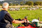 A flock of sheep in a field, and a man on a quadbike looking over his animals.