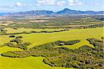 beautiful aerial view from helicopter at kauai, hawaii