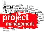 Project management word cloud image with hi-res rendered artwork that could be used for any graphic design.