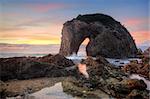 The spirited horse drinks from the wild untamed ocean.  Horse Head Rock, Bermagui at sunrise