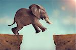 leap of faith concept elephant jumping across a crevasse