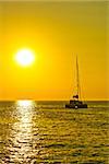 Catamaran sailboat at golden sunset on open sea vertical view
