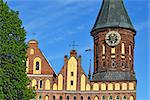 Tower of the Cathedral of Koenigsberg. Gothic 14th century. Symbol of the city of Kaliningrad (Koenigsberg before 1946), Russia