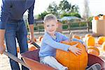 father holding cart with his little son sitting in it and holding huge pumpkin enjoying pumpkin patch at autumn time, american tradition