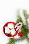 cup with hot chocolate with marshmallows and candy canes - christmas time dessert and christmas tree branch