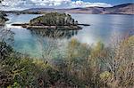 Trees on small lake island, Loch Torridon, Wester Ross, Scotland