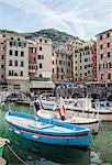 Harbor fishing boats, Camogli, Liguria, Italy