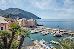 Elevated view of harbor and fishing boats, Camogli, Liguria, Italy