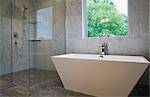 Modern bathroom with free standing bath tub and glass fronted shower cubicle