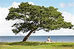 Woman sitting under tree at sea