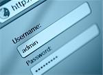 Login Box - Username - Admin and Password in Internet Browser on Computer Screen - Shallow Depth of Field