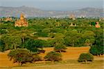Scenic view of landscape, fields and temples in Bagan, Myanmar (Burma)