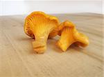 Chanterelle mushrooms on the beige wooden table
