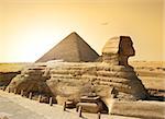 Bird over sphinx and pyramid in egyptian desert