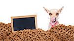 hungry chihuahua dog behind a big mound or cluster of food with empty blank blackboard  , isolated on white background