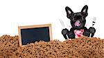 hungry  french bulldog dog behind a big mound or cluster of food with empty blank blackboard  , isolated on white background